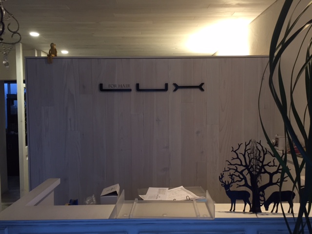 美容室LUX 施工例 画像4