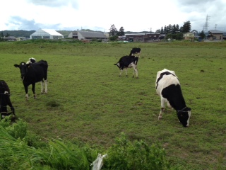 川西町の花屋さん 施工例 画像3