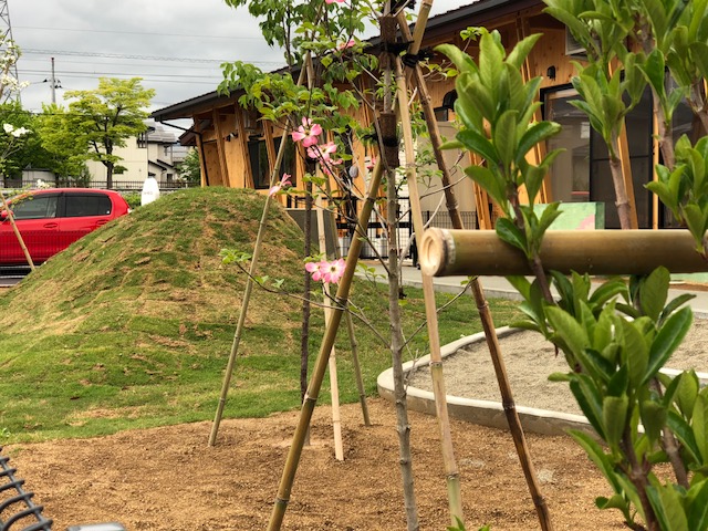 つぐみ・ドゥ・ほいくえん新築工事【園庭】 施工例 画像3