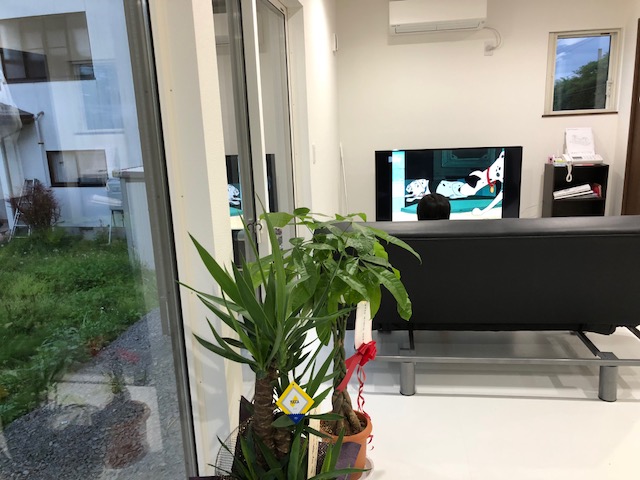 高野の家 施工例 画像7